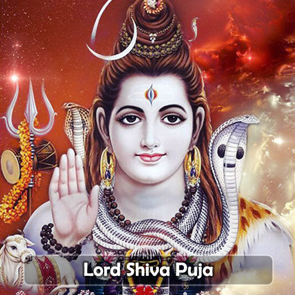 Shiva Puja – Shree Ganesh Temple Of Chicago